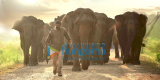 Movie Stills Of The Movie Haathi Mere Saathi