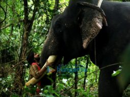 Movie Stills Of The Movie Haathi Mere Saathi