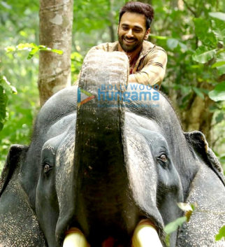 Movie Stills Of The Movie Haathi Mere Saathi