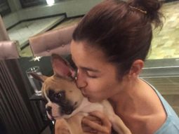 After Anushka Sharma, Alia Bhatt urges people to not abandon their pets for fear of infection