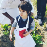 Watch: Little Taimur Ali Khan goes farming and vegetable hunting in Chandigarh
