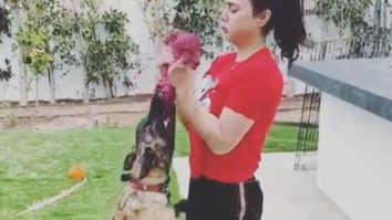 Watch: Preity Zinta does an improvised workout session with her pet dog Bruno