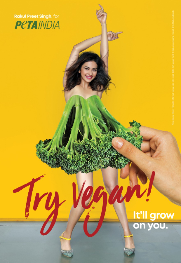 Rakul Preet Singh encourages fans to "Try Vegan" in new PETA ad Rakul Preet Singh encourages fans to "Try Vegan" in new PETA ad