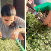 Samantha Akkineni shares results of her first harvest of cabbage microgreens