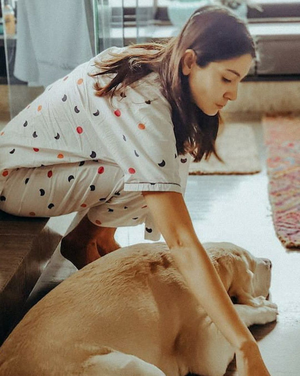 Anushka Sharma’s picture perfect morning ritual with her pet dog leaves Virat Kohli in awe Anushka Sharma’s picture perfect morning ritual with her pet dog leaves Virat Kohli in awe