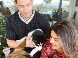 Priyanka Chopra Jonas and Nick Jonas rescue a husky, name him Panda