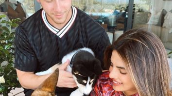 Priyanka Chopra Jonas and Nick Jonas rescue a husky, name him Panda