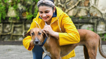 “Sometimes all you need is love,” writes Prachi Desai sharing pictures of strays from her building