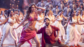 Movie Wallpapers Of The Movie Bhediya