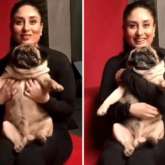 Kareena Kapoor Khan roped in as the brand ambassador of Drools, India’s leading dogs and cat’s nutrition brand in India