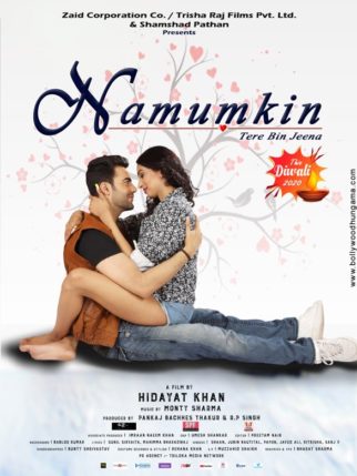 First Look Of The Movie Namumkin Tere Bin Jeena