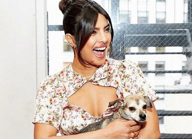 Priyanka Chopra is living her life to the fullest during her Europe trip, shares photos with her pet Diana 