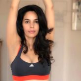 Mallika Sherawat shares picture of herself doing the Urdhva Hastasana
