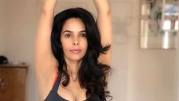 Mallika Sherawat shares picture of herself doing the Urdhva Hastasana