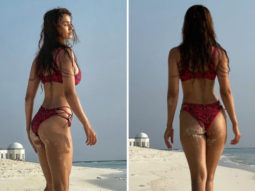Disha Patani sets the temperature soaring flaunting her beach body in printed bikini during Maldives vacation 