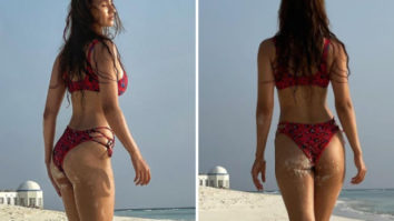 Disha Patani sets the temperature soaring flaunting her beach body in printed bikini during Maldives vacation 