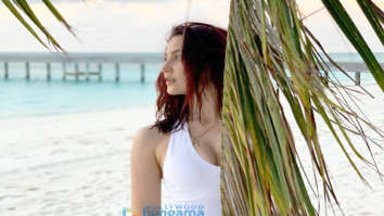 Celebrity Photos of Elli AvrRam