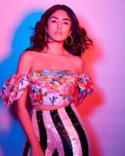 Celebrity Photo Of Mrunal Thakur