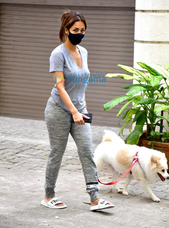 photos malaika arora and sophie choudry spotted with their pets for a walk 1