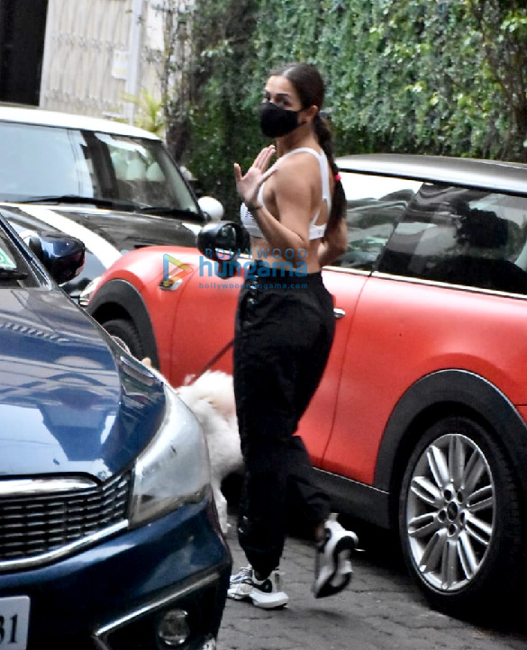 photos malaika arora snapped with her pet in bandra 5 2