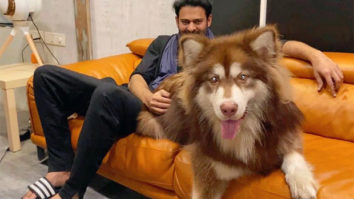 Prabhas’ photo with Charmme Kaur’s 9-month-old Alaskan Malamute dog is breaking the internet