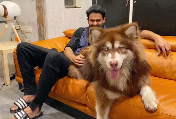 Prabhas' photo with Charmme Kaur's 9-month-old Alaskan Malamute dog is breaking the internet