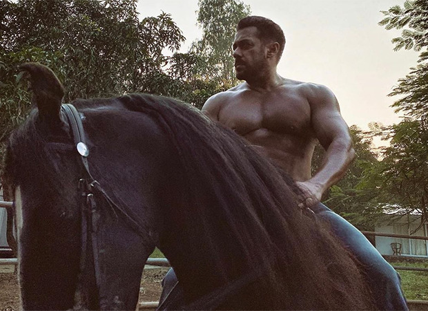 Salman Khan’s shirtless picture while mounted on a horse leaves fans swooning
