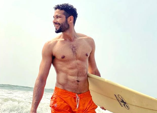 Siddhant Chaturvedi flaunts his abs as he takes a dip in the sea; asks followers to pay attention to his poem as well
