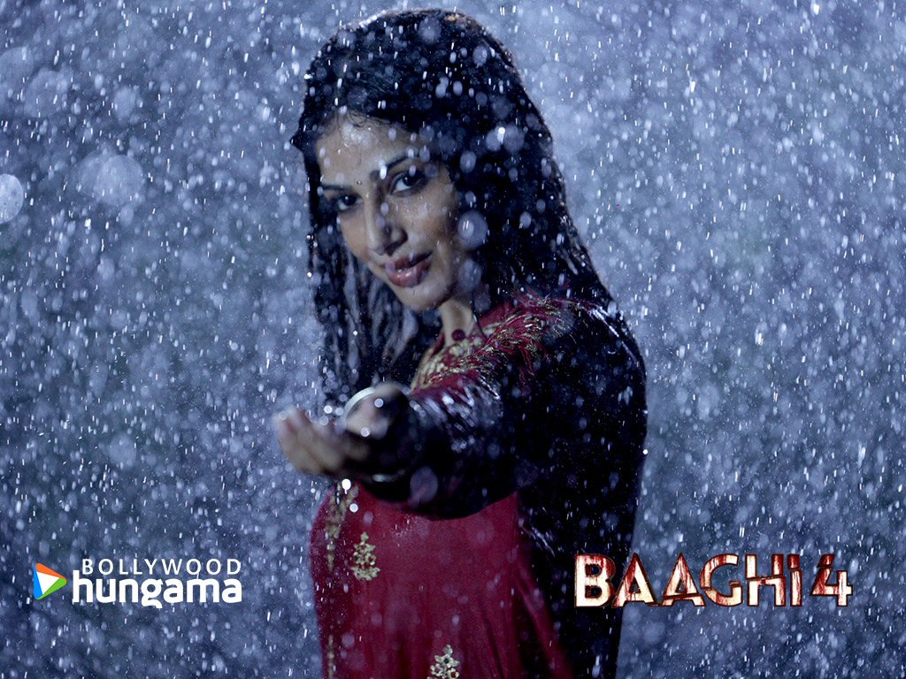 Baaghi 4