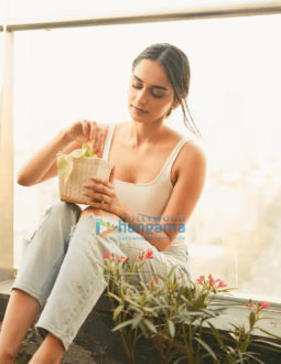 Celebrity Photos of Manushi Chhillar