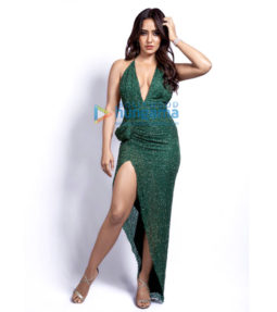 Celebrity Photo Of Neha Sharma