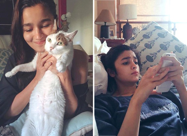 Alia Bhatt mourns the death of her pet cat Sheeba 