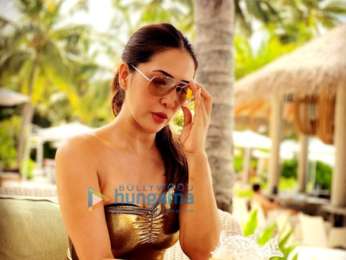 Kim Sharma, Filmography, Movies, Kim Sharma News, Videos, Songs, Images