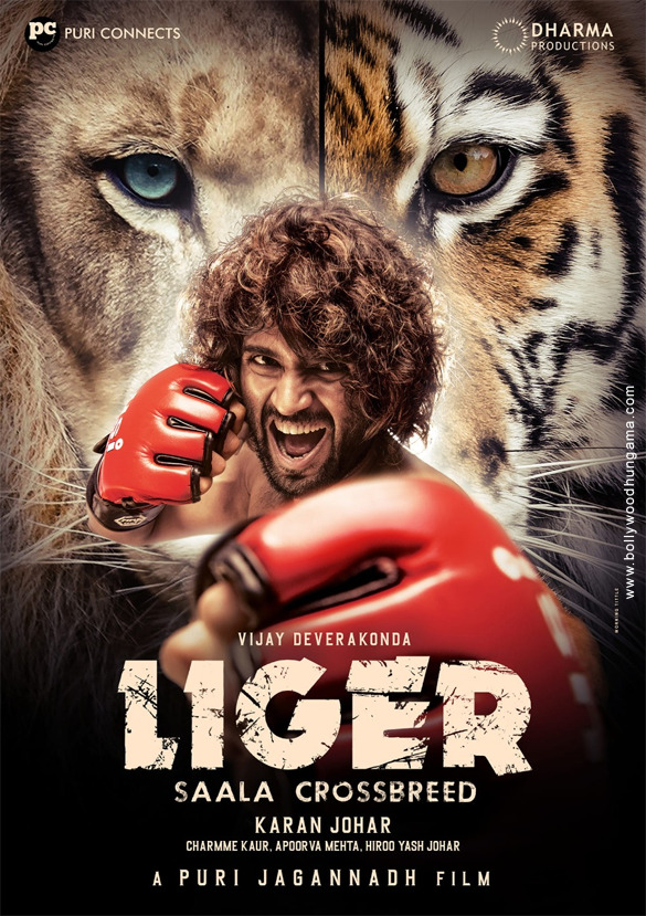 liger 2