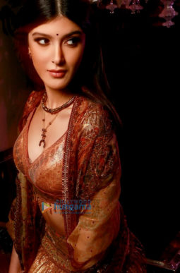 Celebrity Photo of Shanaya Kapoor