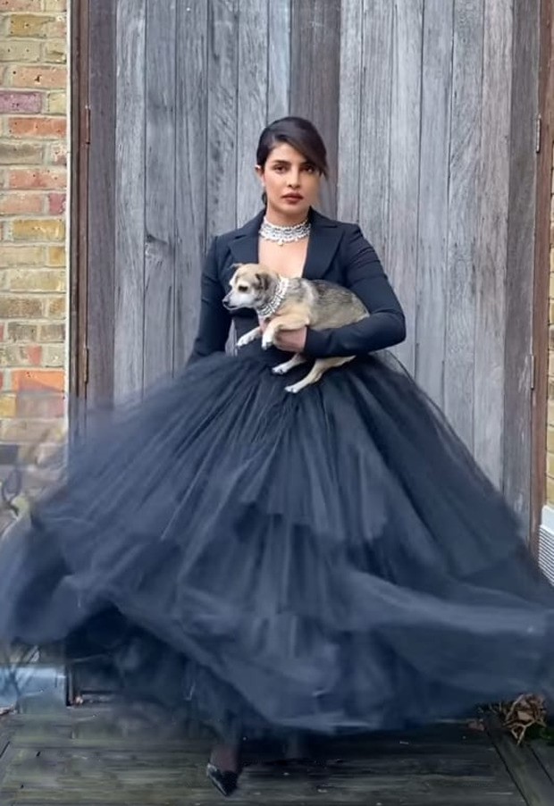 From high end fashion to over the top affair, Priyanka Chopra struts her way making sassy style statements From high end fashion to over the top affair, Priyanka Chopra struts her way making sassy style statements