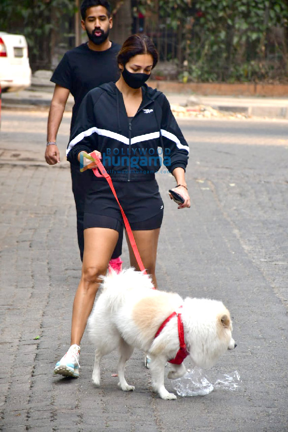 photos malaika arora snapped with her pet 3