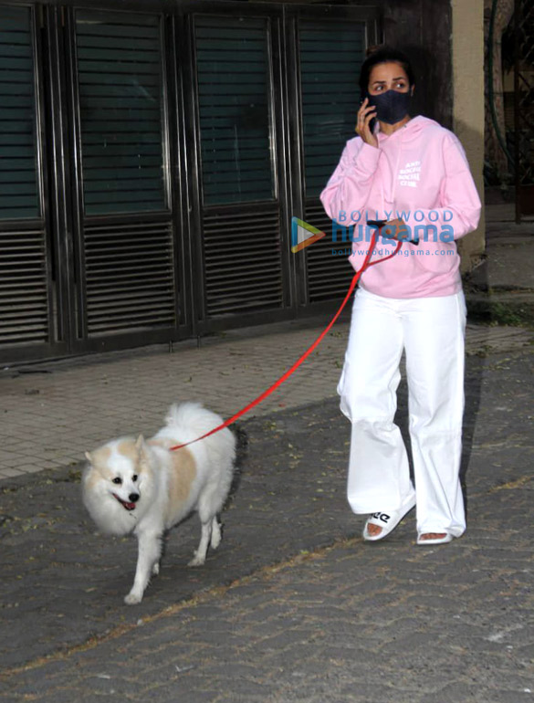 photos malaika arora snapped with her pet in bandra 1 4