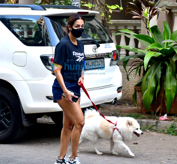 photos malaika arora snapped with her pet in bandra 1 3
