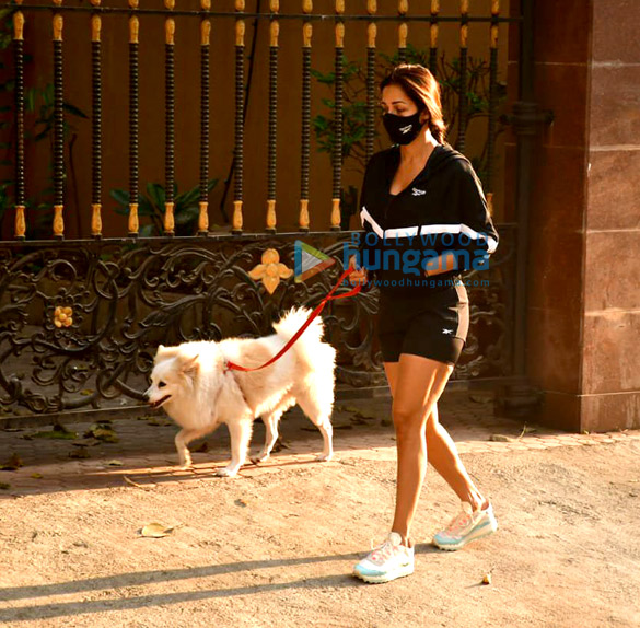 photos malaika arora snapped with her pet in bandra 3 5