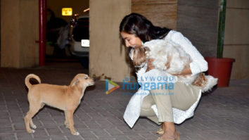 Photos: Sophie Choudry spotted in Bandra playing with a street dog