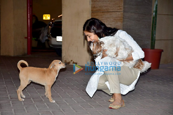Photos: Sophie Choudry spotted in Bandra playing with a street dog Photos: Sophie Choudry spotted in Bandra playing with a street dog