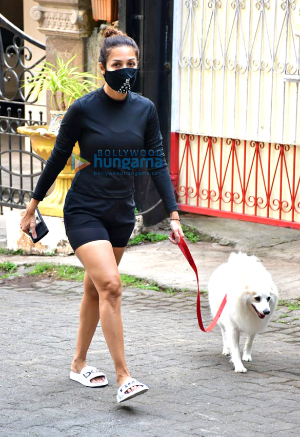 Photos: Malaika Arora spotted with her pet for morning walk Photos: Malaika Arora spotted with her pet for morning walk