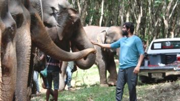 Rana Daggubati shares how the Elephants helped him perform on the sets of Haathi Mere Saathi