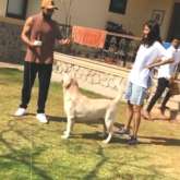 Anushka Sharma shares 'some special, priceless moments' with Virat Kohli and dogs, watch video