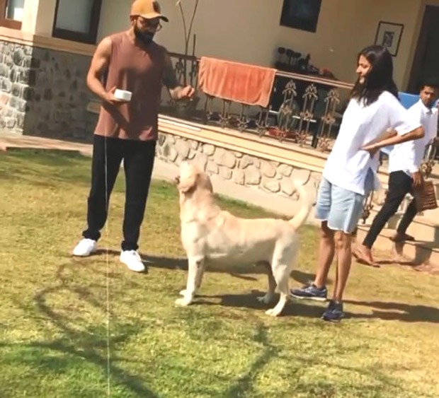 Anushka Sharma shares 'some special, priceless moments' with Virat Kohli and dogs, watch video