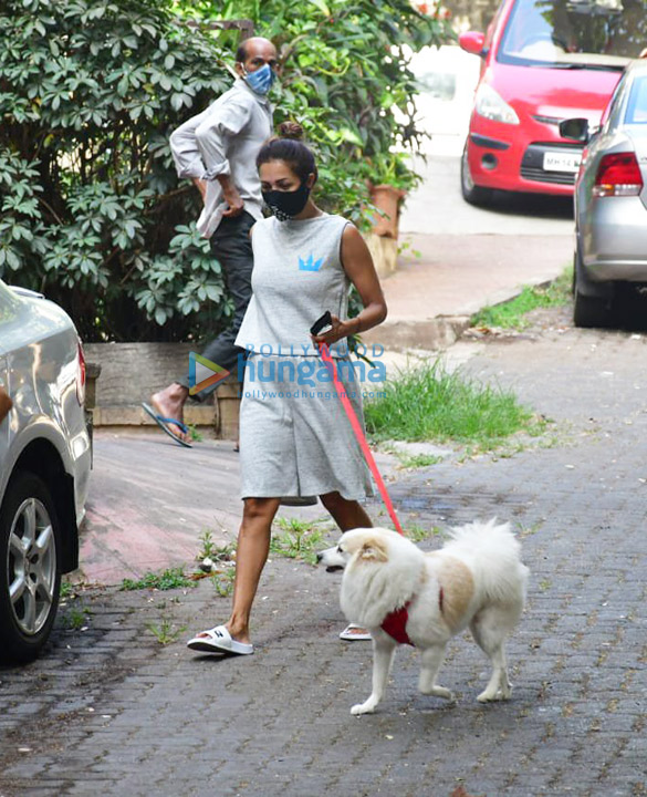 photos malaika arora and neha sharma spotted going for a walk with their pet 3