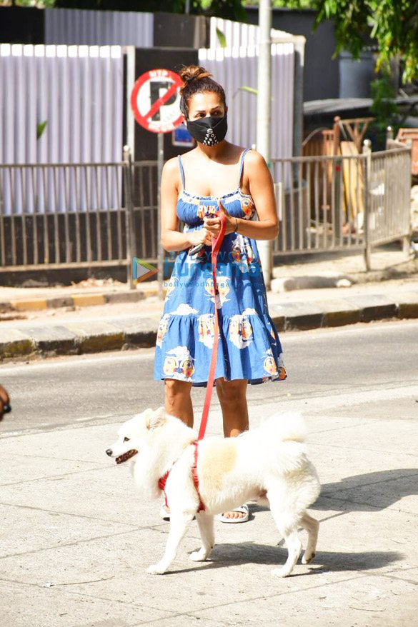 photos malaika arora spotted with her pet for morning walk 1 4