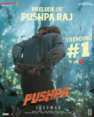 First Look Of Pushpa