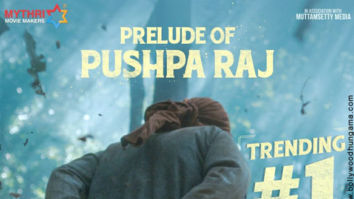 First Look Of Pushpa